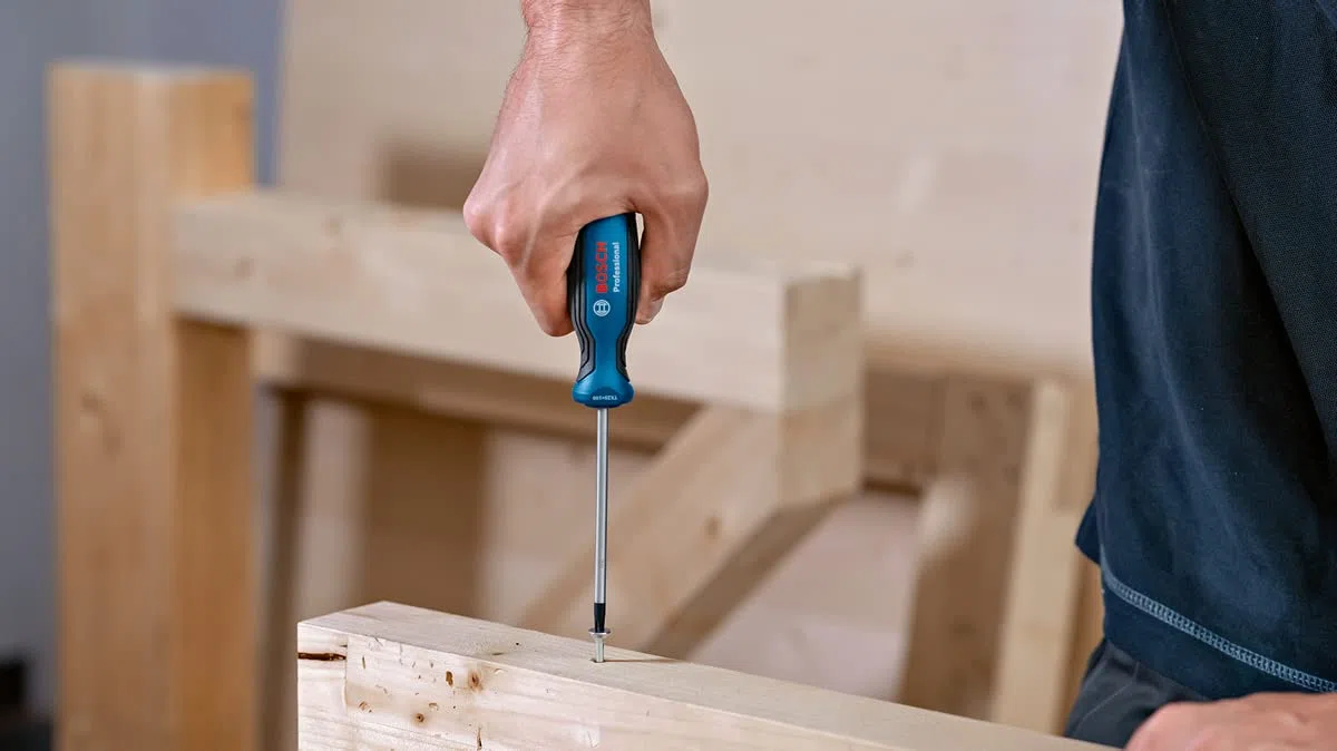 Bosch Professional 1600A01V0F Cacciavite TX40 x 125 mm (Torx, Acciaio S2), Blu
