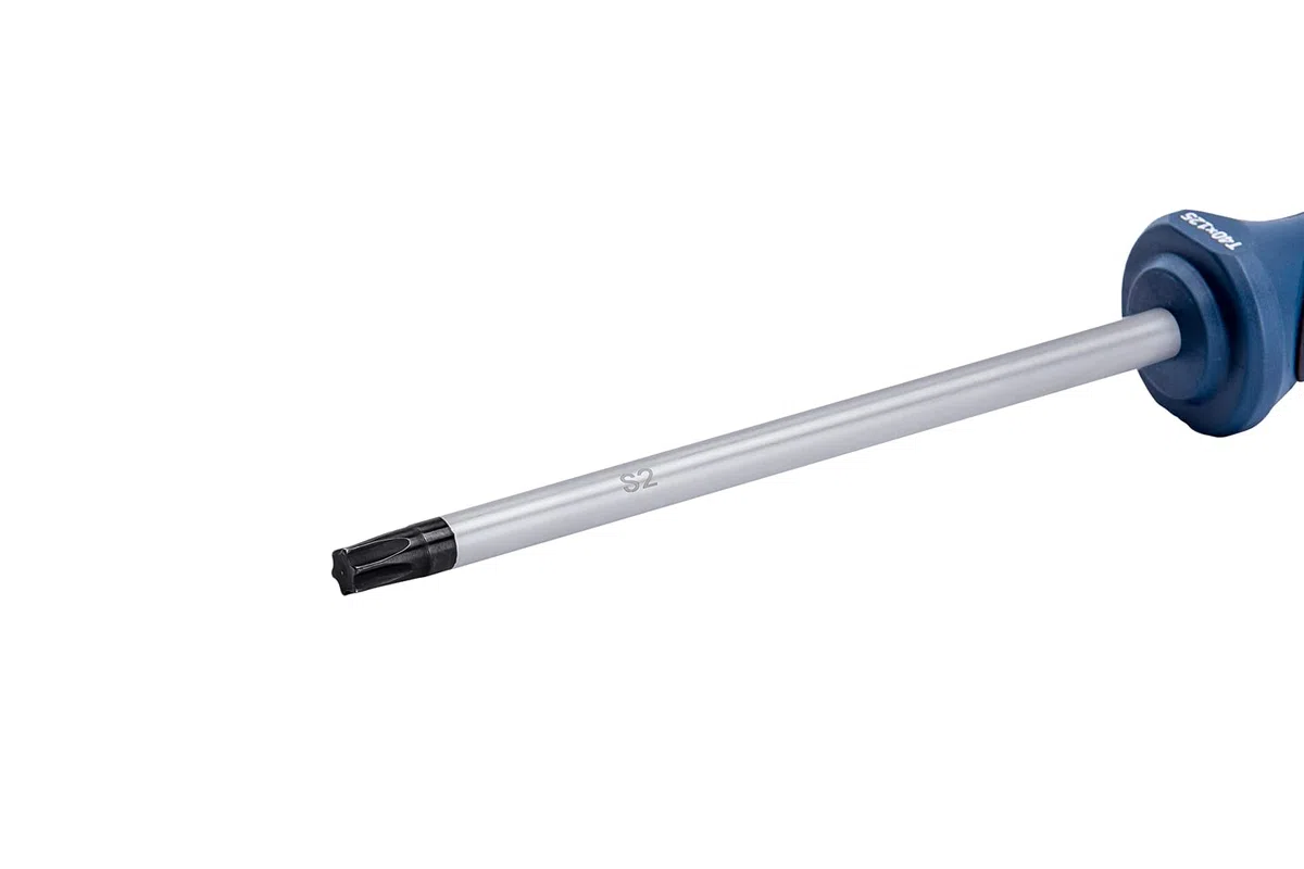 Bosch Professional 1600A01V0F Cacciavite TX40 x 125 mm (Torx, Acciaio S2), Blu